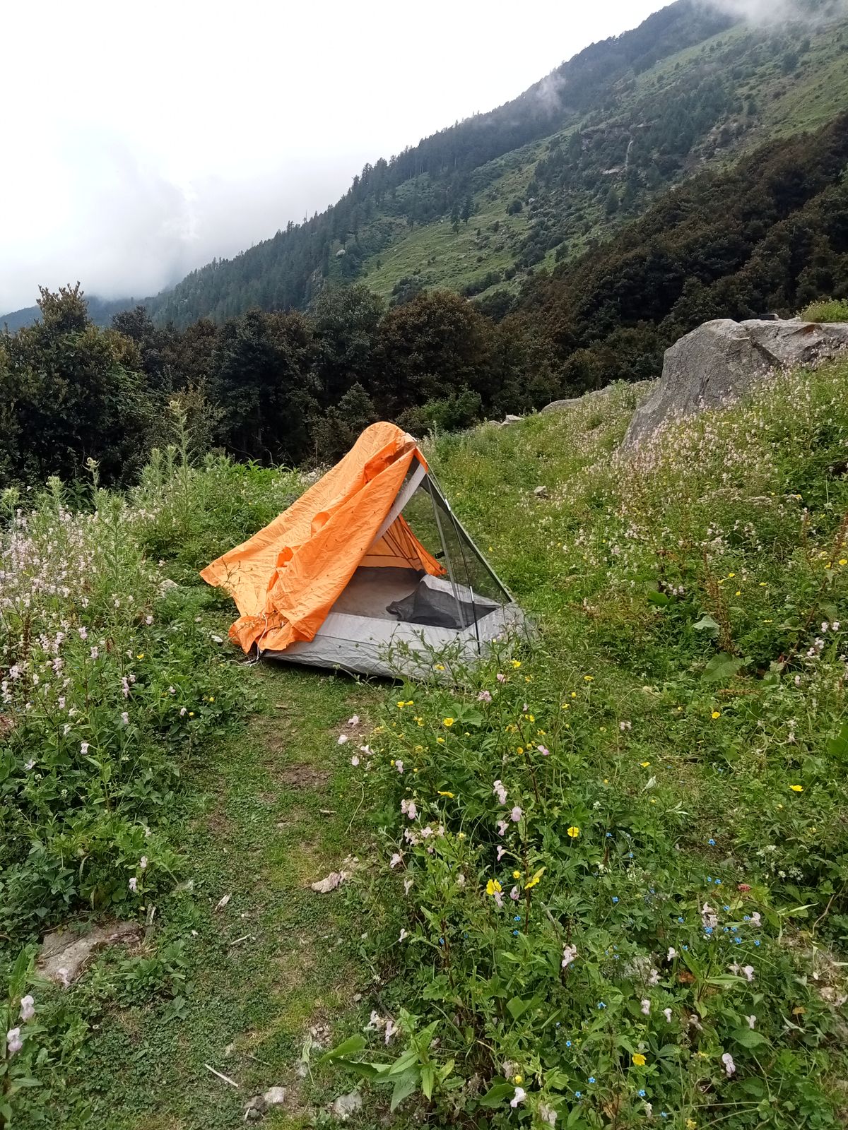 Tent op een open kampeerweide