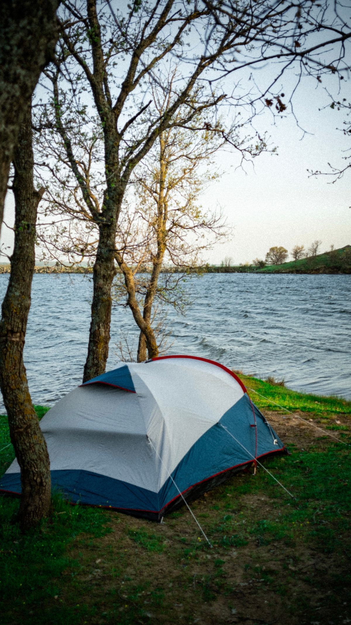 Avondlicht bij de tent